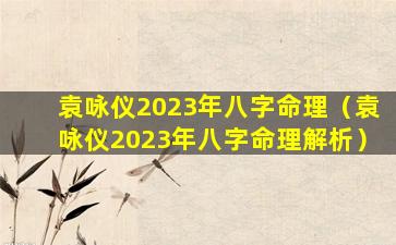 袁咏仪2023年八字命理（袁咏仪2023年八字命理解析）