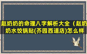 赵奶奶的命理八字解析大全（赵奶奶水饺锅贴(芥园西道店)怎么样）