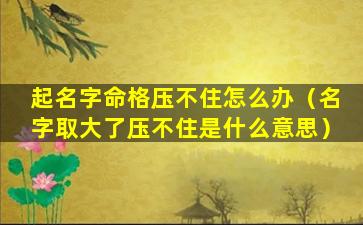 起名字命格压不住怎么办（名字取大了压不住是什么意思）