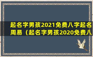 起名字男孩2021免费八字起名周易（起名字男孩2020免费八字起名周易）