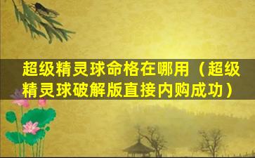 超级精灵球命格在哪用（超级精灵球破解版直接内购成功）