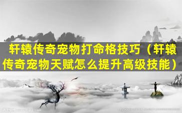 轩辕传奇宠物打命格技巧（轩辕传奇宠物天赋怎么提升高级技能）