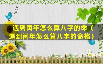 遇到闰年怎么算八字的命（遇到闰年怎么算八字的命格）