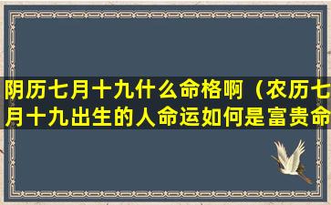 阴历七月十九什么命格啊（农历七月十九出生的人命运如何是富贵命吗）