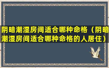 阴暗潮湿房间适合哪种命格（阴暗潮湿房间适合哪种命格的人居住）