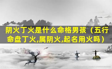 阴火丁火是什么命格男孩（五行命盘丁火,属阴火,起名用火吗）