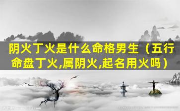 阴火丁火是什么命格男生（五行命盘丁火,属阴火,起名用火吗）