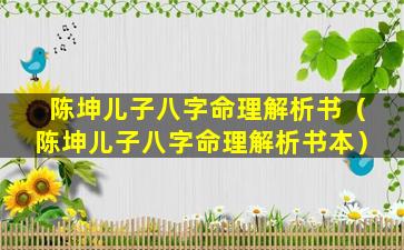 陈坤儿子八字命理解析书（陈坤儿子八字命理解析书本）