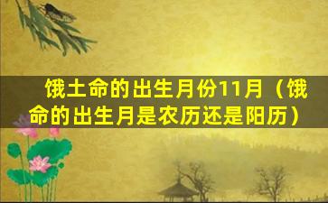 饿土命的出生月份11月（饿命的出生月是农历还是阳历）