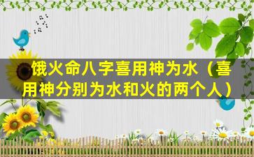 饿火命八字喜用神为水（喜用神分别为水和火的两个人）