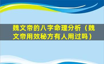 魏文帝的八字命理分析（魏文帝用效秘方有人用过吗）