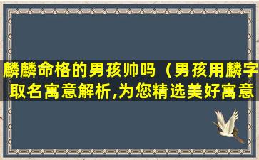 麟麟命格的男孩帅吗（男孩用麟字取名寓意解析,为您精选美好寓意的男孩名字）