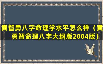 黄智勇八字命理学水平怎么样（黄勇智命理八字大纲版2004版）